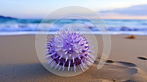 spines purple sea urchin photo