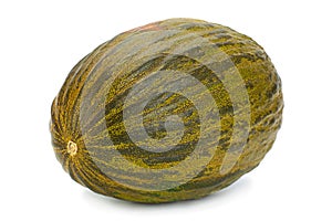 Spinish melon Piel de sapo photo