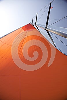 Spinnaker in the sun