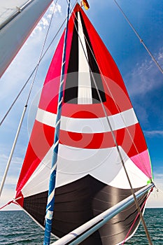 Spinnaker with uphaul, blue sky in background