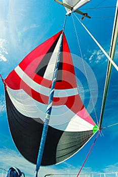 Spinnaker with uphaul, blue sky in background.