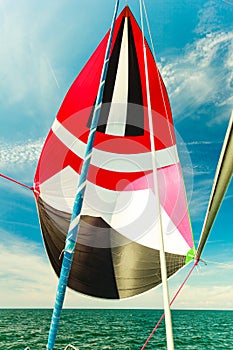 Spinnaker with uphaul, blue sky in background.