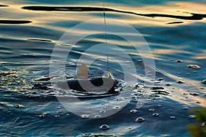 Spinning fishing (lure fishing) trout in lakes of Scandinavia.