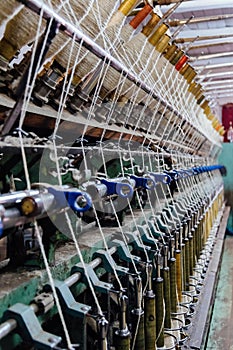 Spinning production line. Spinning machinery with spindles and wool yarns