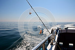 A spinning rod for catching fish with shrimp bait is rigged on board the fishing boat