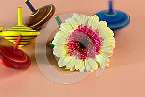 spinning top with gerbera in the middle, children\'s top