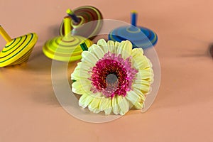 spinning top with gerbera in the middle, children\'s top