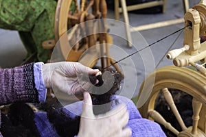 Spinning wool on spinning wheel