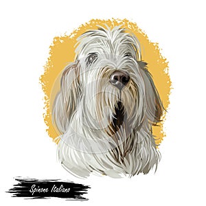 Spinone Italiano purebred dog with long haired coat digital art. Domestic animal with furry face watercolor pet portrait