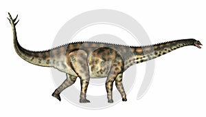 Spinophorosaurus dinosaur - 3D render