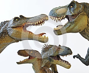 A Spinosaur, T. Rex, Velociraptor and Allosaur photo
