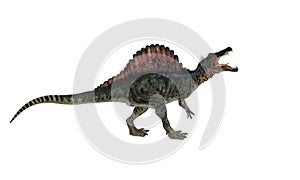 Spinosaurios Isolated