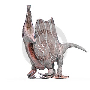 Spinosaurus is angry in white background