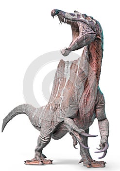 Spinosaurus is calling in white background