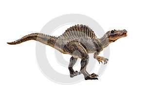 Spinosaurus  ,dinosaur on white background photo