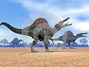 Spinosaurus dinosaurs walk - 3D render