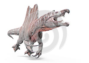 Spinosaurus jumping in white background