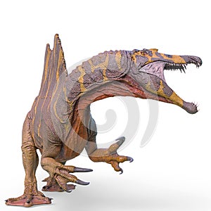 Spinosaurus side attack in white background