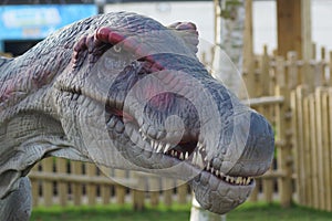 Spinosaurus - Spinosaurus aegyptiacus