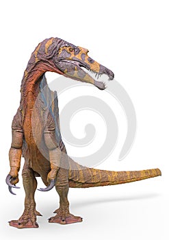 Spinosaurus standing up in white background