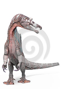 Spinosaurus standing up in white background