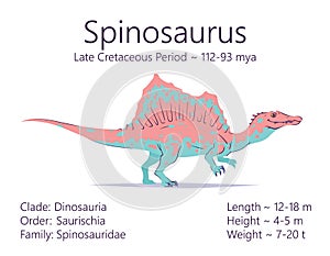 Spinosaurus. Theropoda dinosaur. Colorful vector illustration of prehistoric creature spinosaurus and description of