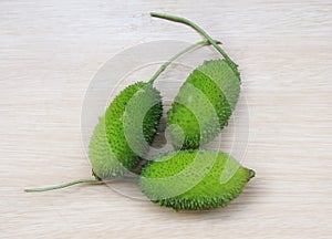 Spiny gourd