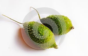 Spiny gourd in isolated background.