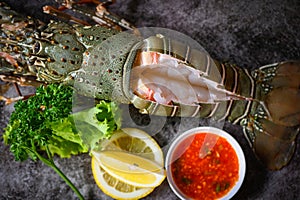 spiny lobster sashimi seafood, fresh lobster or rock lobster with herb and spices lemon parsley on dark background, raw spiny