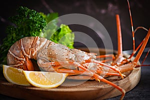spiny lobster seafood on wooden plate, fresh lobster or rock lobster with herb and spices lemon coriander parsley on dark