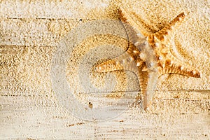 Spiny starfish and sea sand on wooden boards