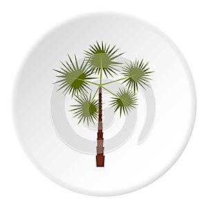 Spiny tropical palm tree icon, flat style