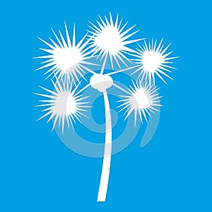 Spiny tropical palm tree icon white