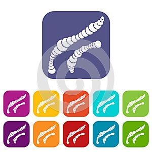 Spiral bacteria icons set