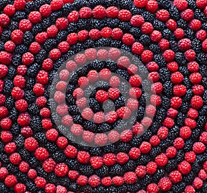 Spiral of berry. Raspberry and mulberry