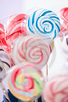 Spiral Fruit Lollipops