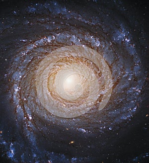 Spiral Galaxy NGC 3147 Constellation of Draco. Elements of this picture furnished by NASA