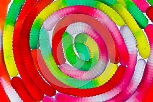 Spiral of gummy worms photo