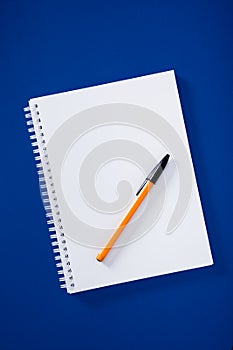 Spiral notepad with ball pen