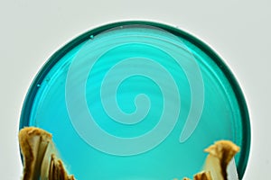 Spiral from a notepad