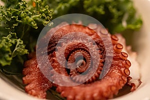 Spiral Octopus Sashimi