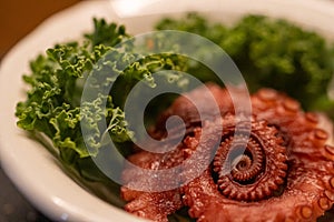 Spiral Octopus Sashimi