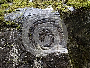 Spiral petroglyph carved in stone in La Zarza nature park archeological site in Laurel forest, laurisilva in the