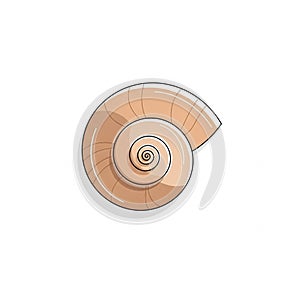Spiral seashell illustration with a smooth