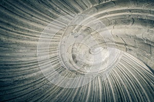 Spiral shape of a stone staircase in Hartenfels Castle, Germany