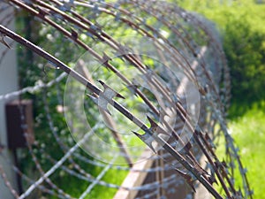 Spiral of sharp rusty barbed wire