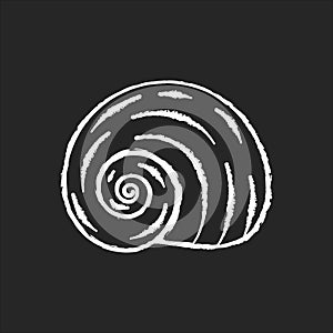 Spiral shell chalk white icon on black background