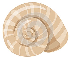 Spiral shell icon. Cartoon underwater fauna seashell