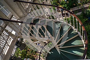 A Spiral staircase in the flower garden