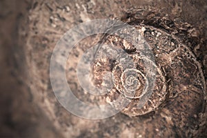 Spiral stone background.